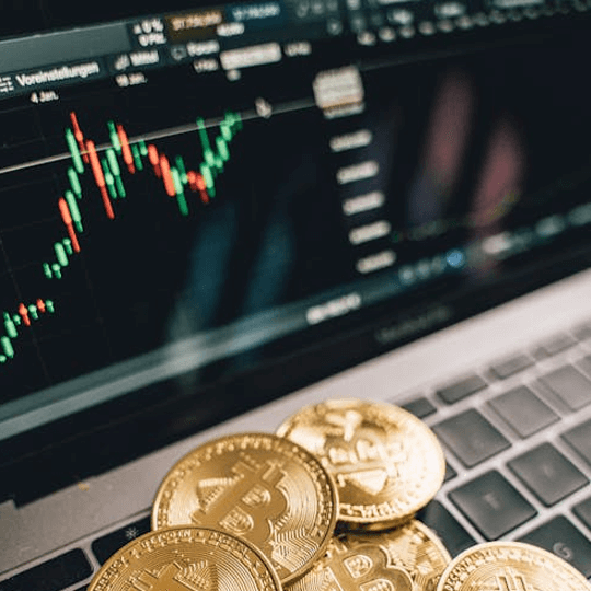 Steinberix Kapital Krypto-Investment-Experten-Team